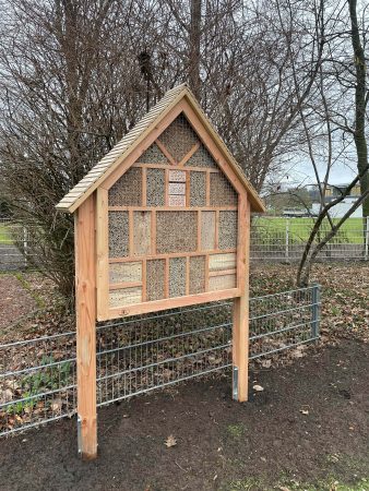 2 Insectenhotel-min-min