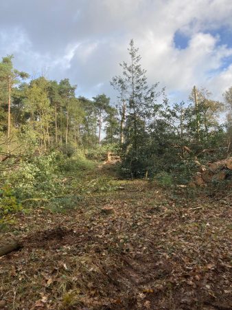 WhatsApp Image 2025-10-22 at 11.40.38 (2)