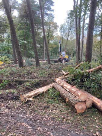 WhatsApp Image 2025-10-22 at 11.40.38