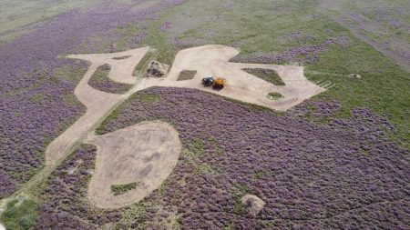 WhatsApp Image 2025-08-29 at 14.41.19 (1)