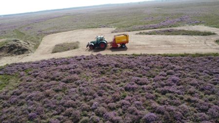 WhatsApp Image 2025-08-29 at 14.41.19 (3)